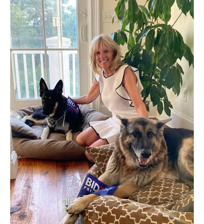Jill Biden Custom Valentino Has Portraits of Her German Sheperds