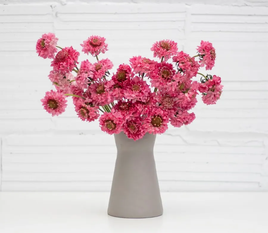 Mother’s Day Gift Guide 2021