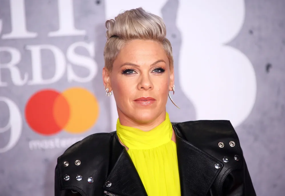 Pink Explains Why Motherhood Wasn&rsquo;t on Her To-Do List