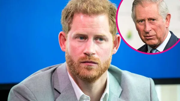 Prince Harrys Most Illuminating Quotes About Prince Charles Relationship