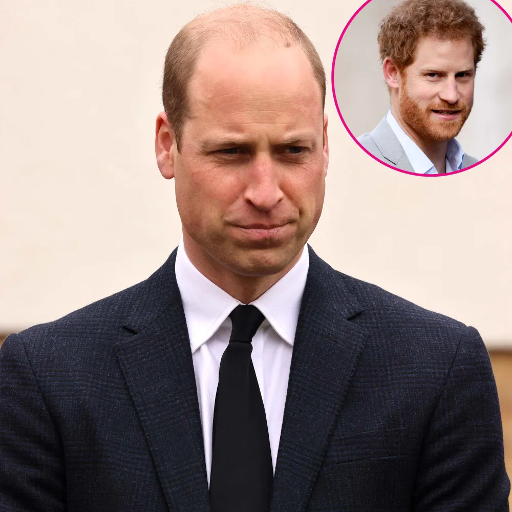 Prince William Cant Comprehend Why Harry Throws Family Under Bus