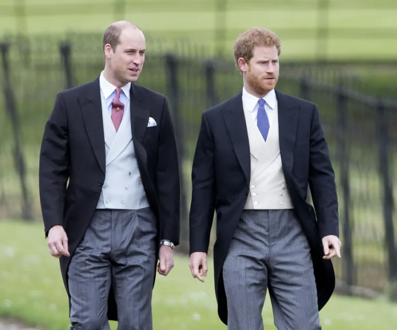 Royal Family Is Livid With Prince Harry Comparing His Life Zoo