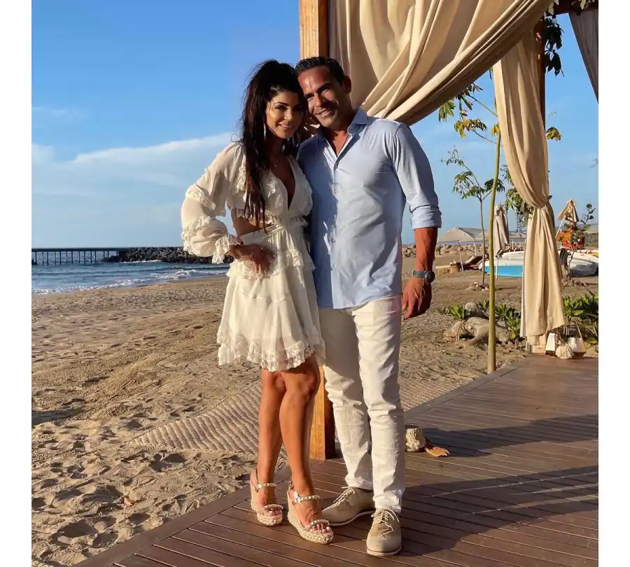 Teresa Giudice and Louie Ruelas Relationship Timeline