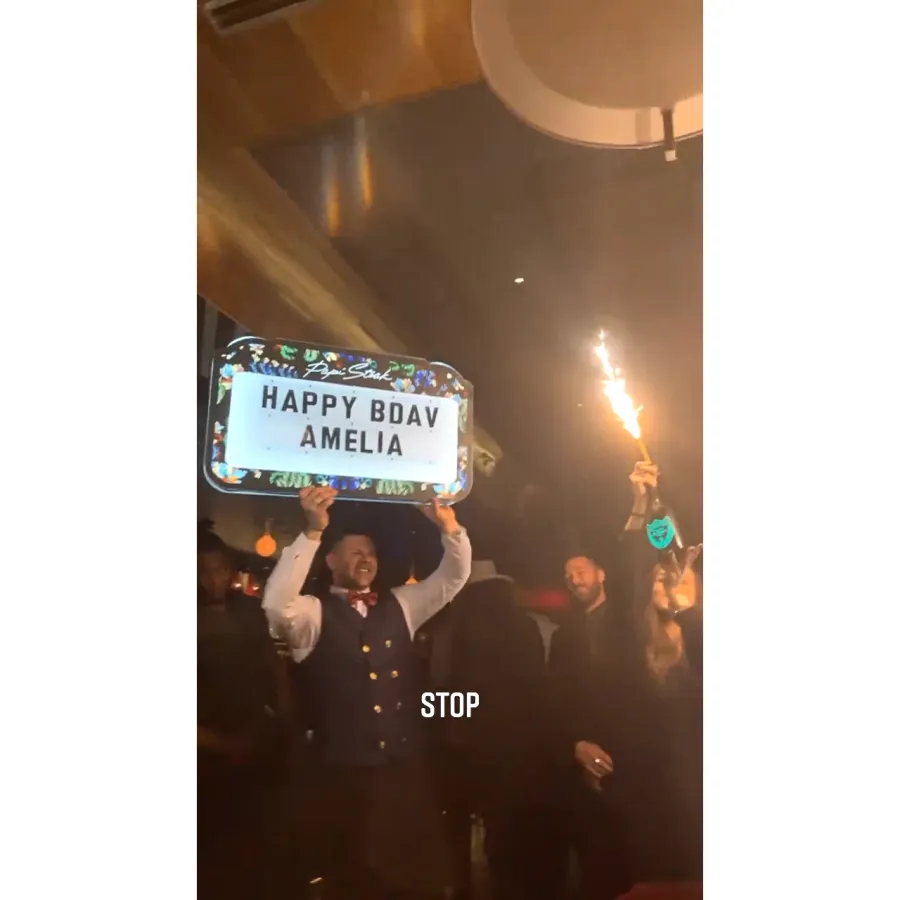 Amelia Gray Hamlin and Scott Disick Pack on the PDA at Her 20th Birthday Party: Photos