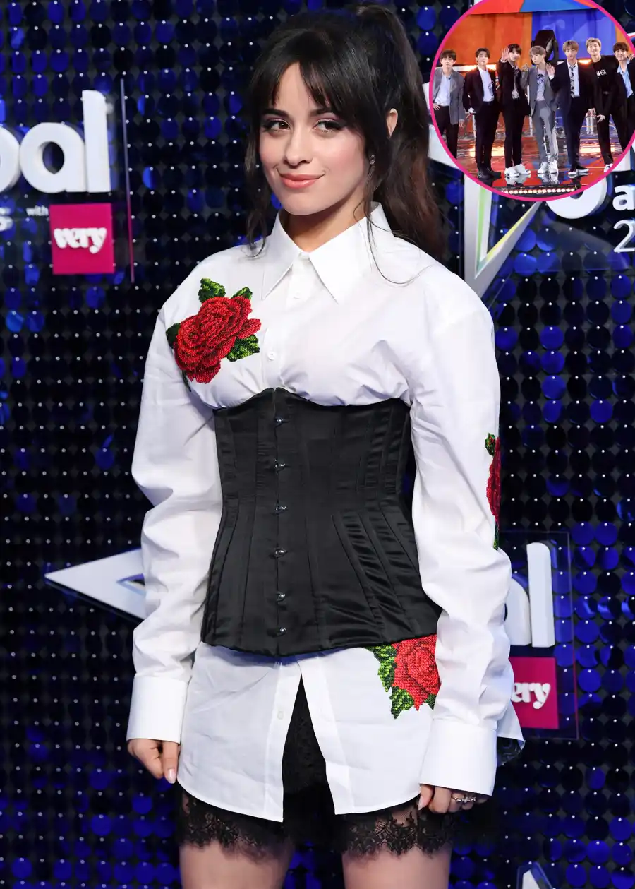 Celebrity Boy Band Fans: From BTS Army to Directioners and BSB Diehards