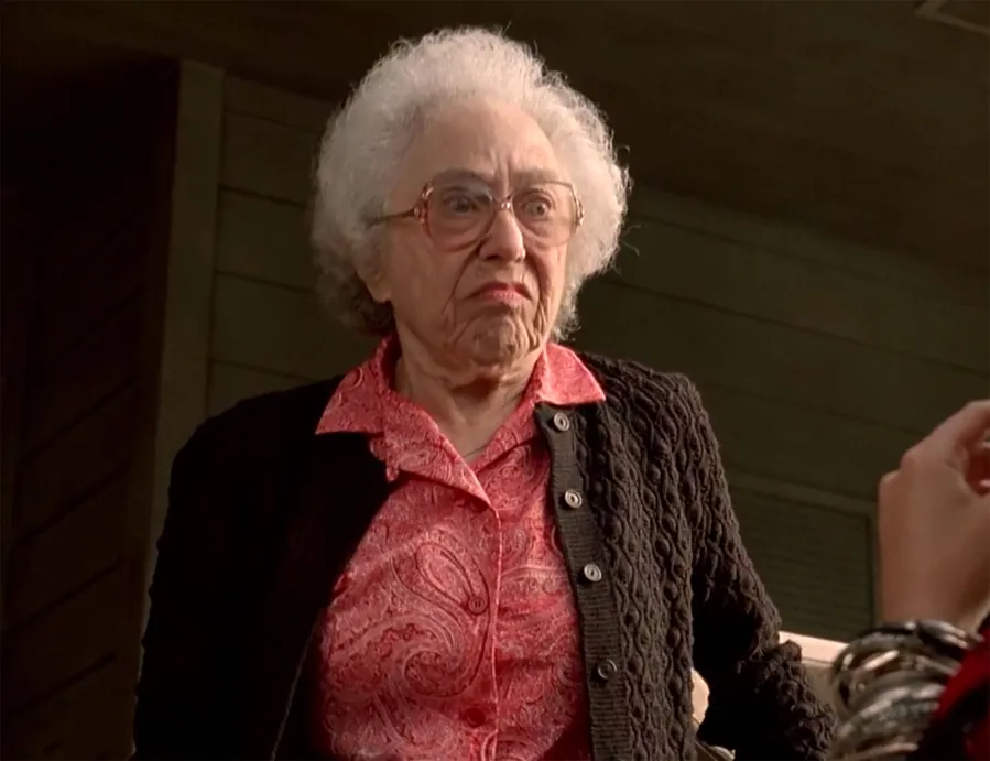 'Don't Tell Mom the Babysitter's Dead' Cast: Where Are They Now?