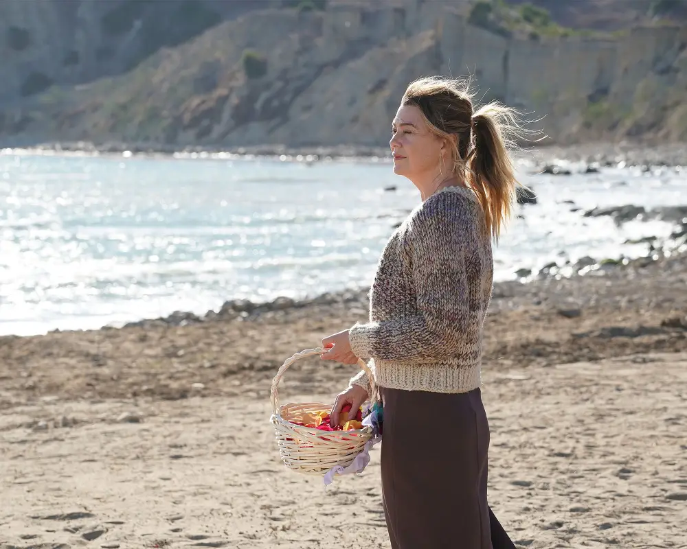 Grey's Anatomy Season 17 Could Have Ended Differently for Meredith After COVID Battle