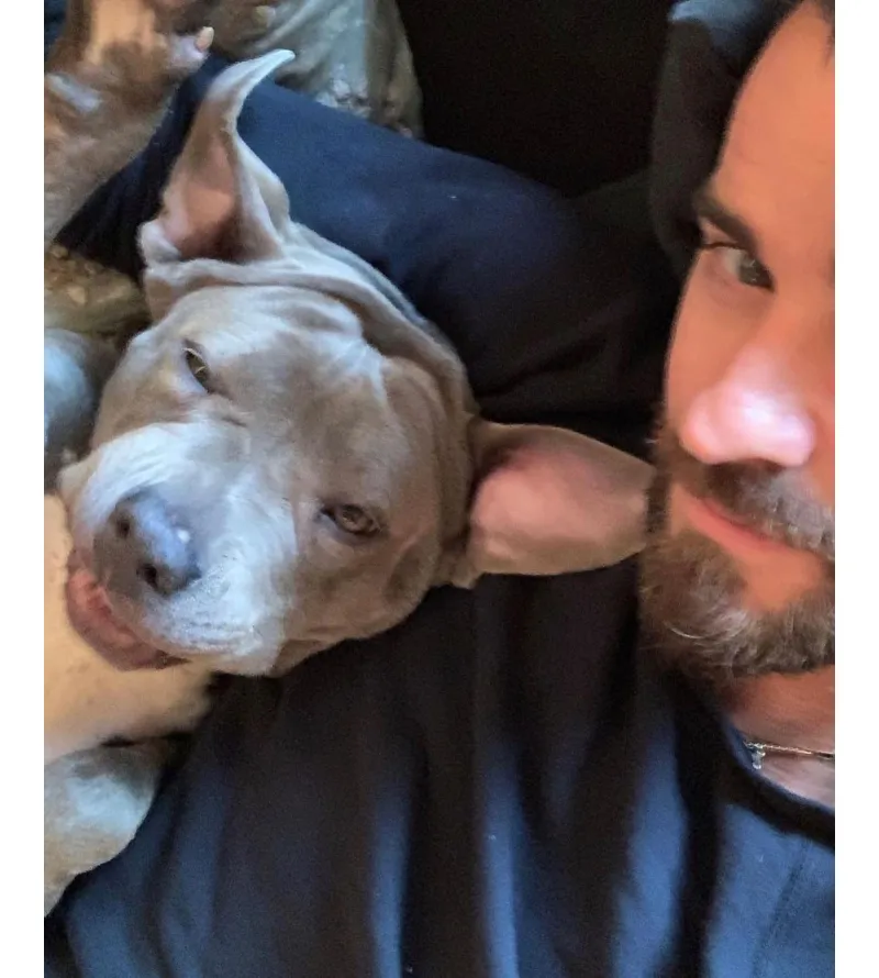 Justin Theroux Gushes Over Dog Kuma for Her Gotcha Day 4