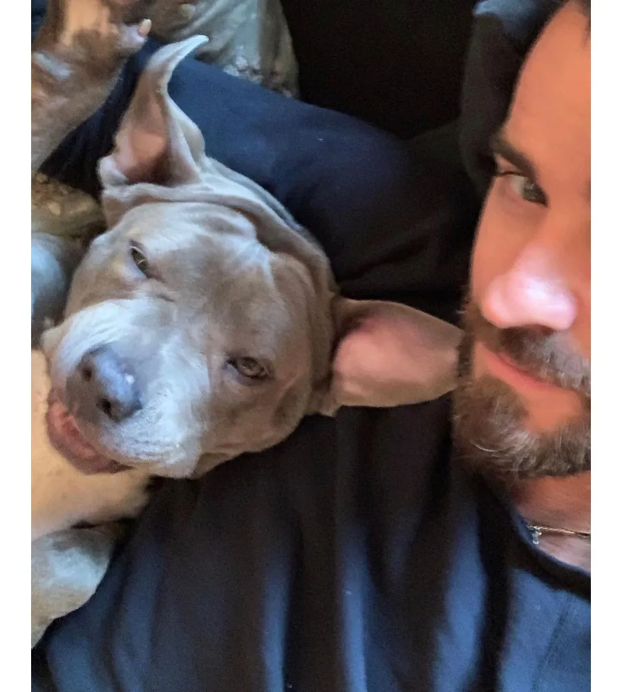 Justin Theroux Gushes Over Dog Kuma for Her Gotcha Day 4