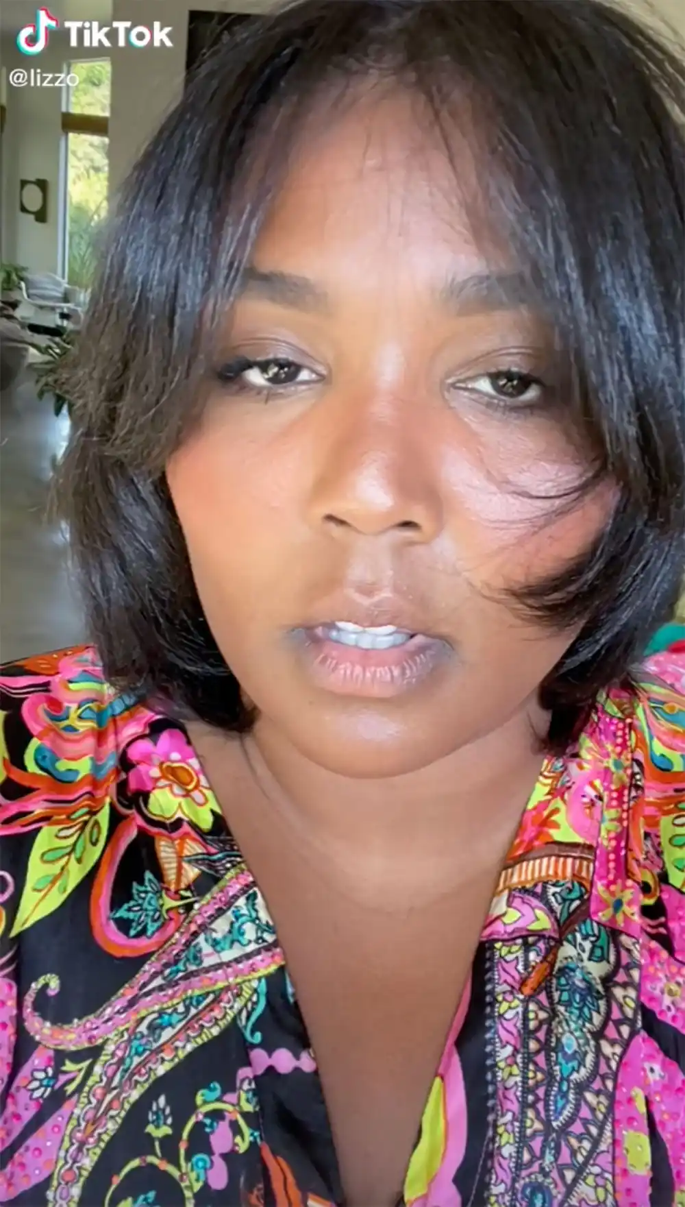 Lizzo May Hate Her Super-Short Bob, But TikTok Is Obsessed