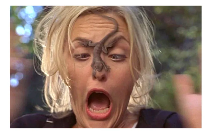 Parent Trap Elaine Hendrix Answers All Our Meredith Blake Questions