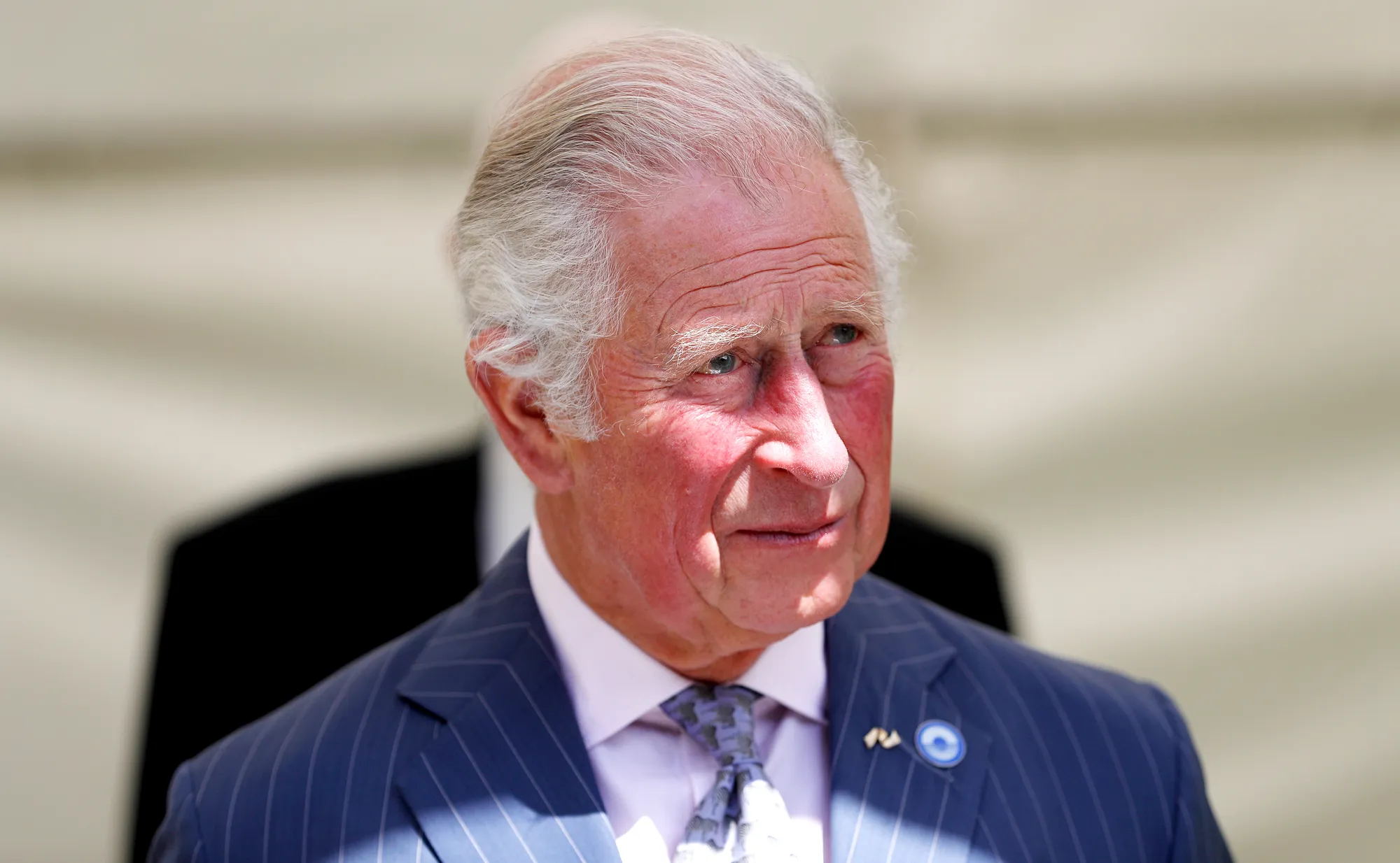Prince Charles Faces Prince Harry Princess Diana Statue Unveiling