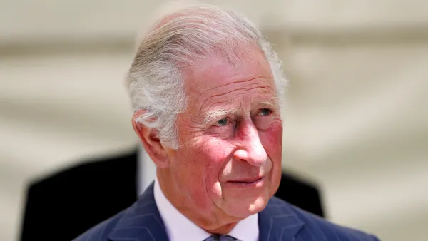 Prince Charles Faces Prince Harry Princess Diana Statue Unveiling
