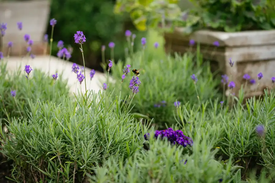 Princess Dianas Statue Location Took 1000 Hours Includes 400m Turf