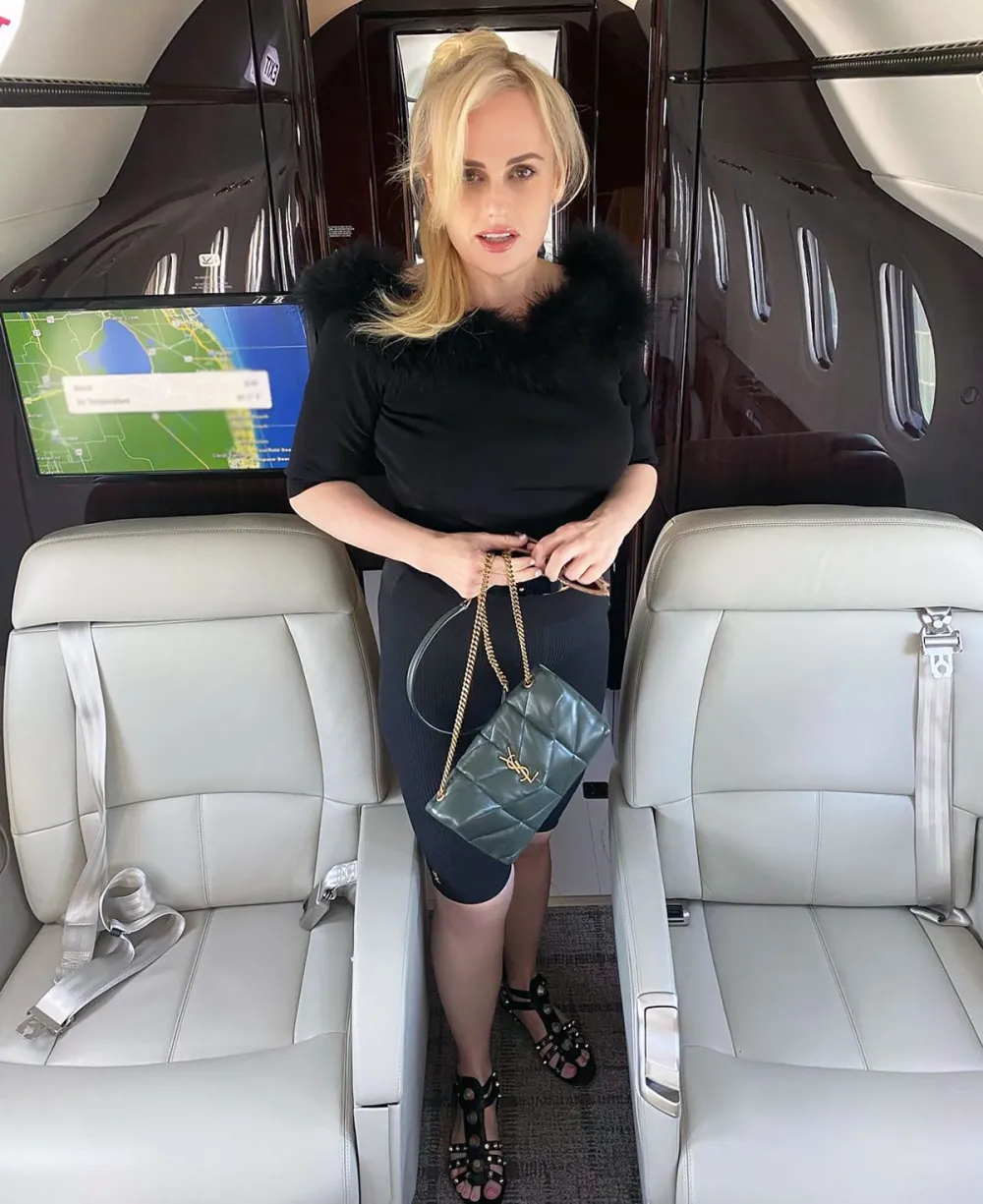 Rebel Wilson Wishes She&rsquo;d Attempted Her &lsquo;Year of Health&rsquo; Earlier