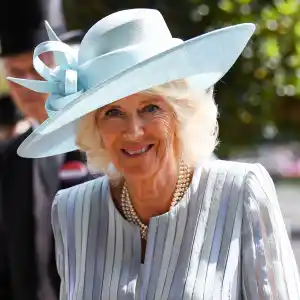 Prince Charles, Duchess Camilla and More Attend Royal Ascot 2021: Photos