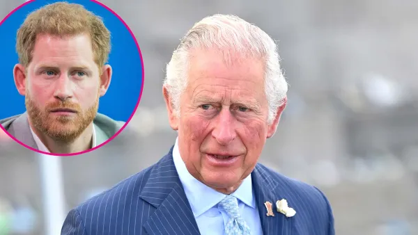 Why Prince Charles Cant Deal With Prince Harrys Criticism