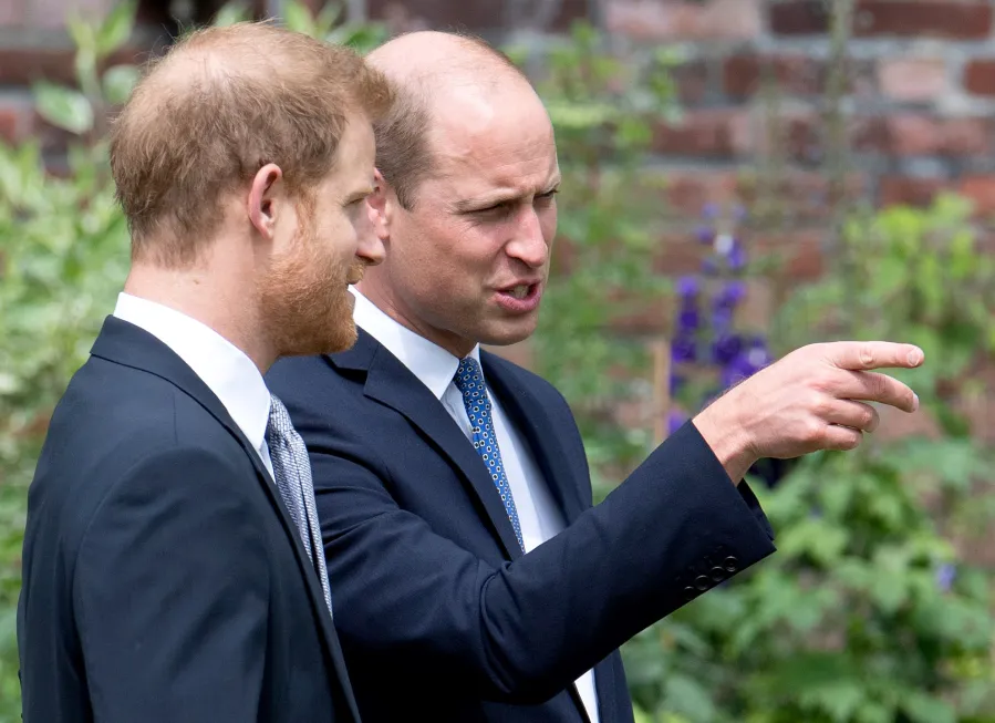 Prince William Prince Harry All Must-See Photos Princess Diana Statue Unveiling Event