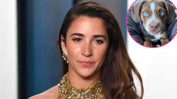 Aly Raisman Loses Dog Mylo During Fireworks on July 4th Weekend