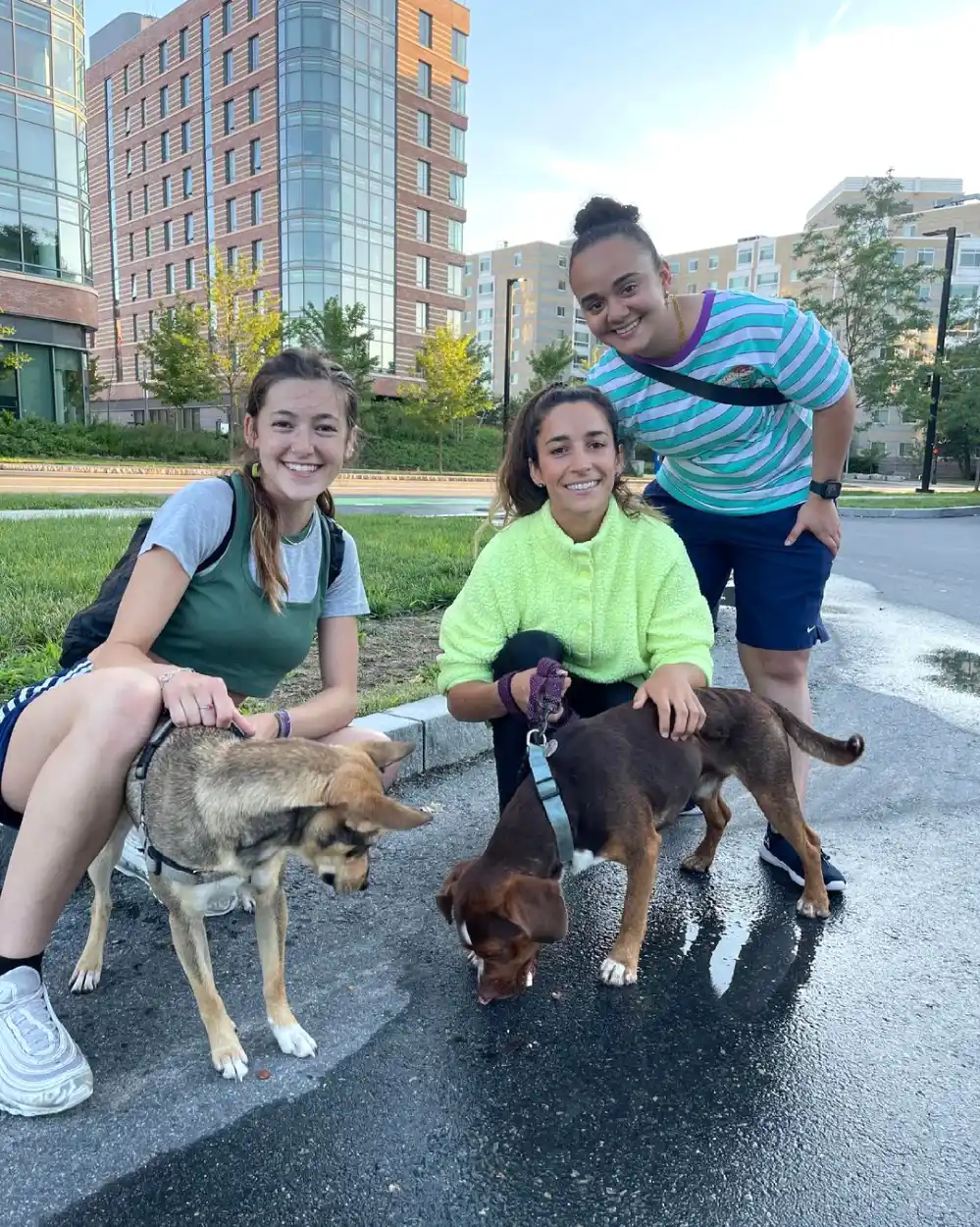 Aly Raisman&rsquo;s Dog Found Safe After Going Missing on 4th of July: Photo