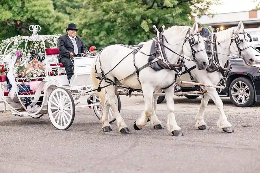 Cute Carriage Cardi B Gives Daughter Kulture Full Princess Treatment for 3rd Birthday Party