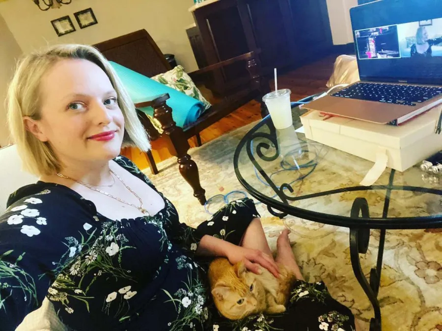 Celebrities Who Are Obsessed With Their Cats