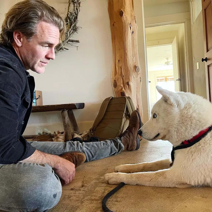 Celebrities With Their Pets