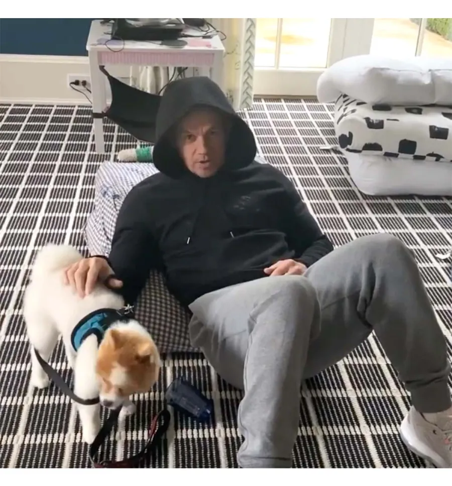 Celebrity Pets That Have Their Own Social Media Accounts