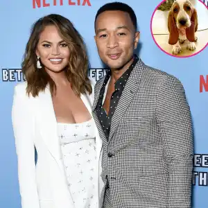 Chrissy Teigen John Legend Get New Puppy After Dog Pippa Death
