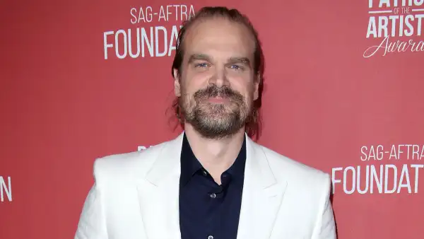 David Harbour Stranger Things Prepared Him for Stepparenting