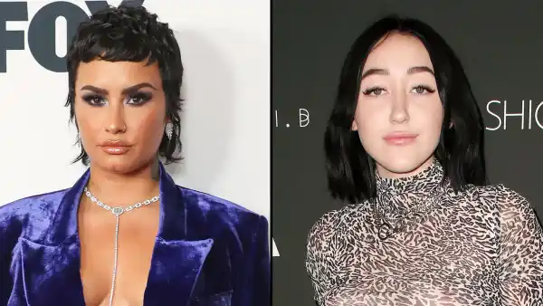 Demi Lovato and Noah Cyrus Hold Hands After Attending Six Flags Event