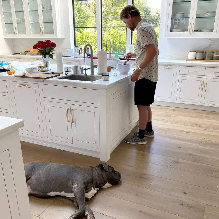 Kaley Cuoco Adopts New Dog Larry 5 Months After Pup Norman Death