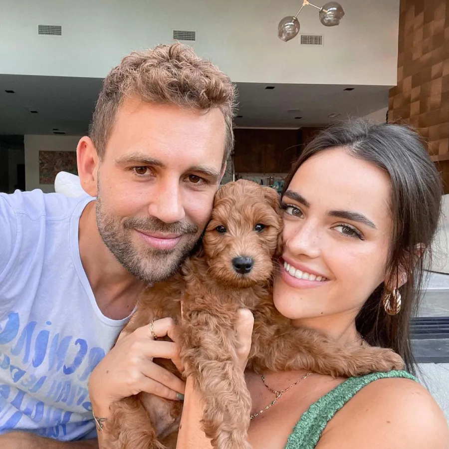 Nick Viall Natalie Joys Relationship Timeline