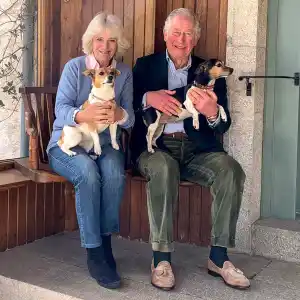 Prince Charles Duchess Camilla Relationship Timeline