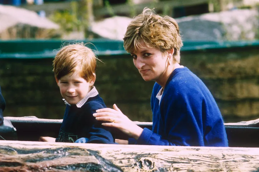 Prince William and Prince Harry’s Most Heart-Wrenching Quotes About the Late Princess Diana