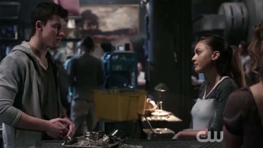 Shawn Mendes The 100 Surprising Celebrity TV Show Cameos