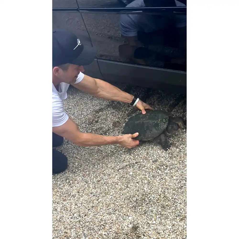 Turtle Wrangler! Blake Lively Swoons Over Ryan Reynold&rsquo;s &lsquo;Fine Ass Arms&rsquo;