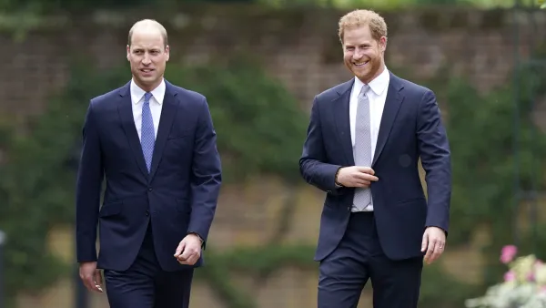 William Harry Put United Front Diana Statue Unveiling