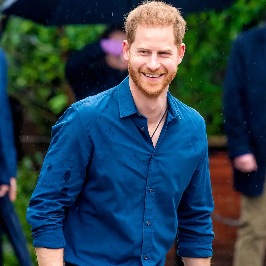 Write On! Prince Harry, Tyler Cameron and More Celebs Who Have Penned Books