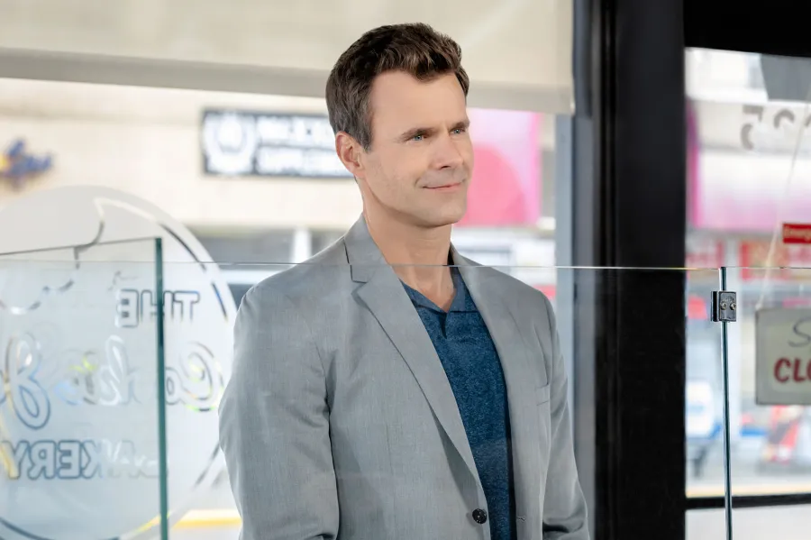 A Guide Hallmark Channel Leading Men Cameron Mathison