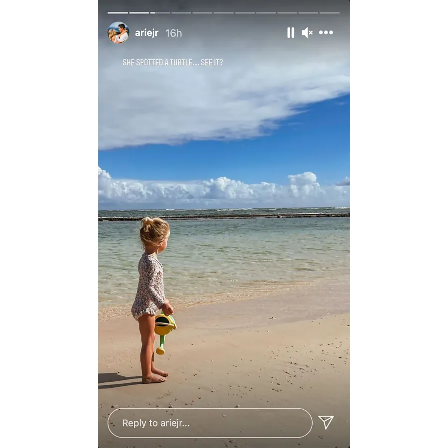 Arie Luyendyk Jr. Swims With 'Ocean Lover' Alessi in Hawaii: Pics