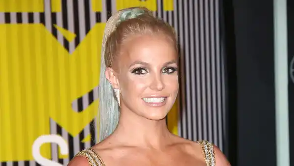 Britney Spears Denies Pregnancy and Boob Job With Topless Pic