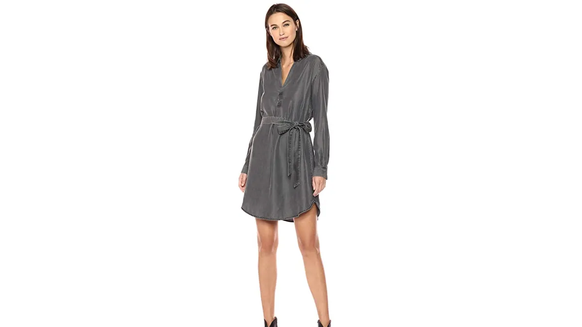 Daily Ritual Women's Tencel Dress