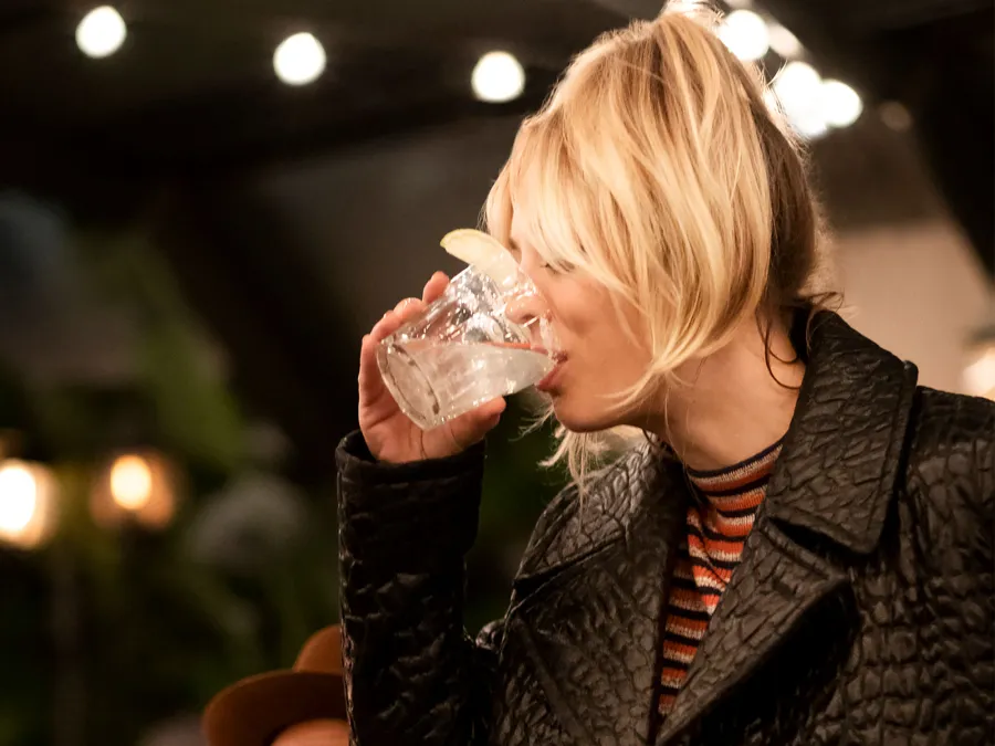 Everything We Know So Far About 'The Flight Attendant' Season 2