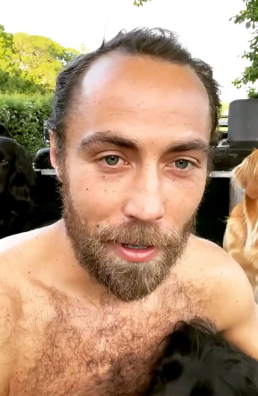 Fabulous Facial Hair! These Are Hands-Down the Best Beards in Hollywood