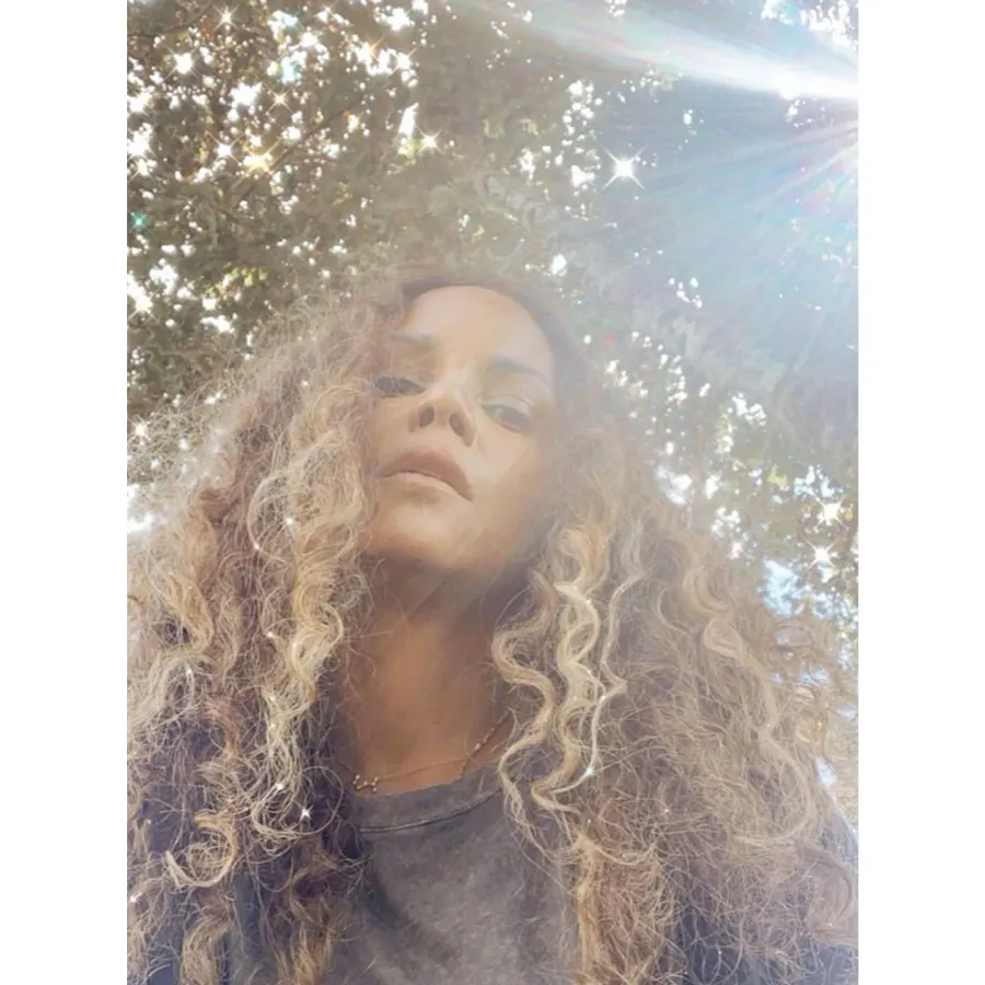 Halle Berry Van Hunt Relationship Timeline