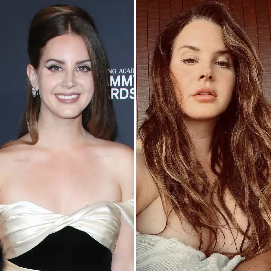 Lana Del Rey Looks Absolutely Radiant Makeup Free Selfie