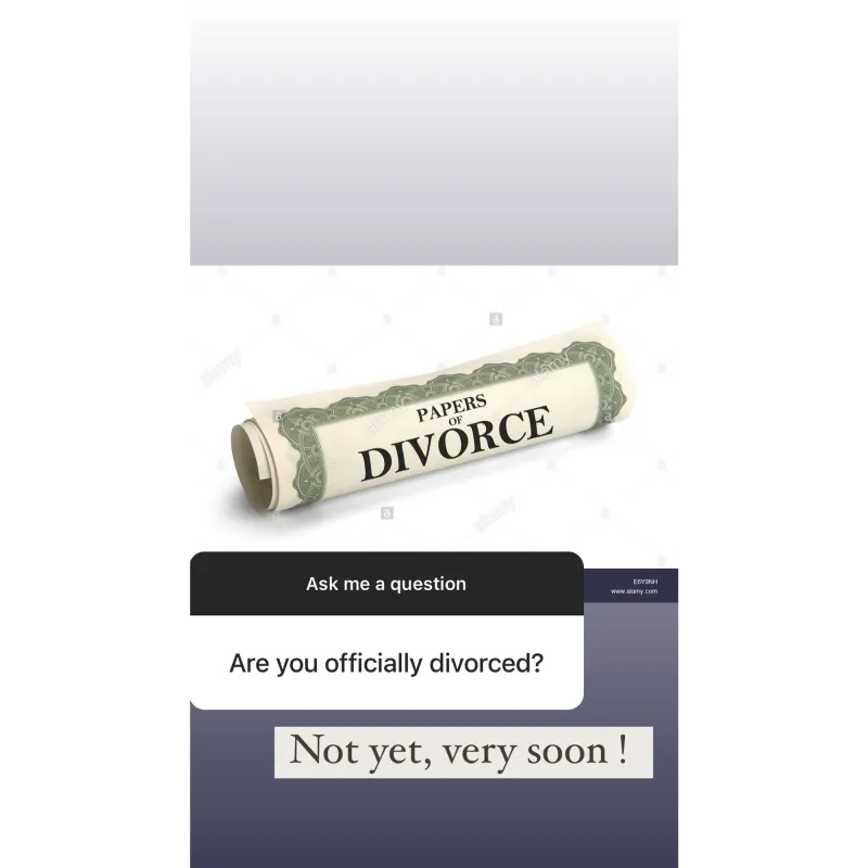 'Who?' Elena Samodanova Shades Chrishell Stause, Gives Gleb Divorce Update