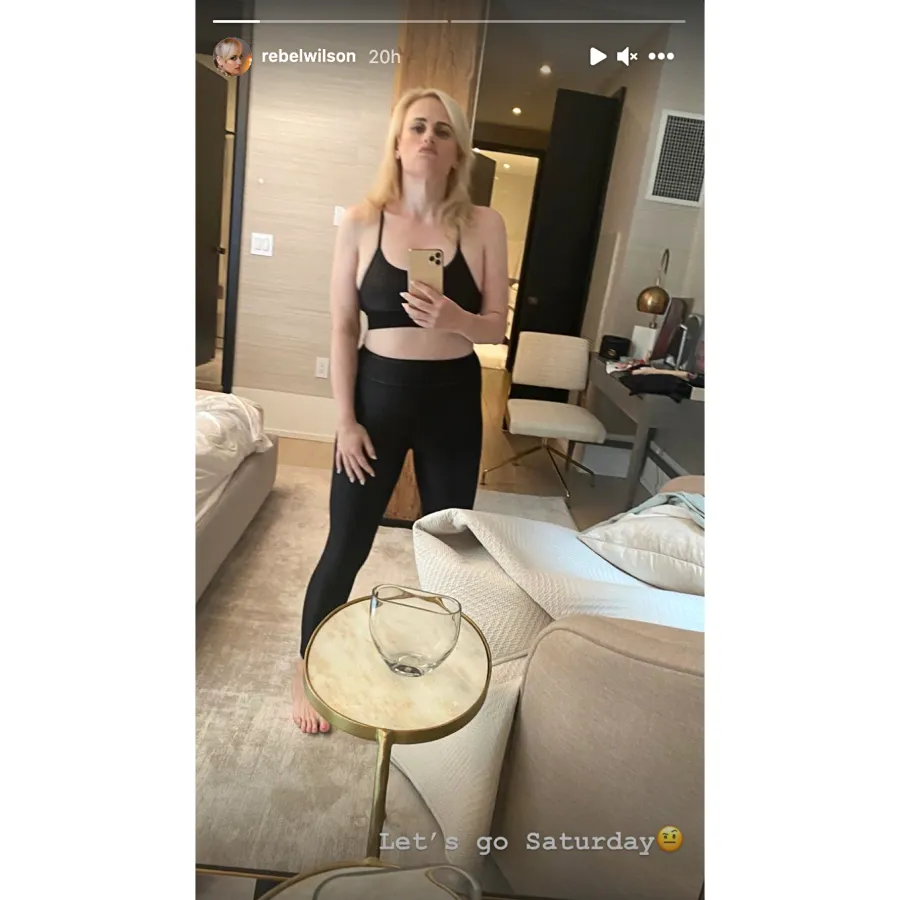 Rebel Wilson’s Transformation Through the Years