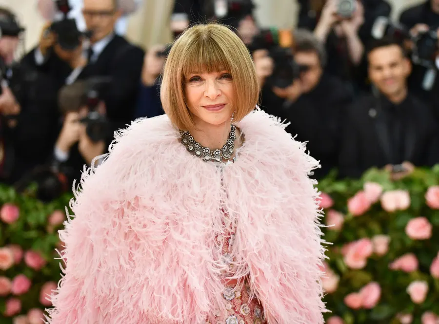 Looking Back at Anna Wintour's Most Memorable Met Gala Looks Through the Years: Pics